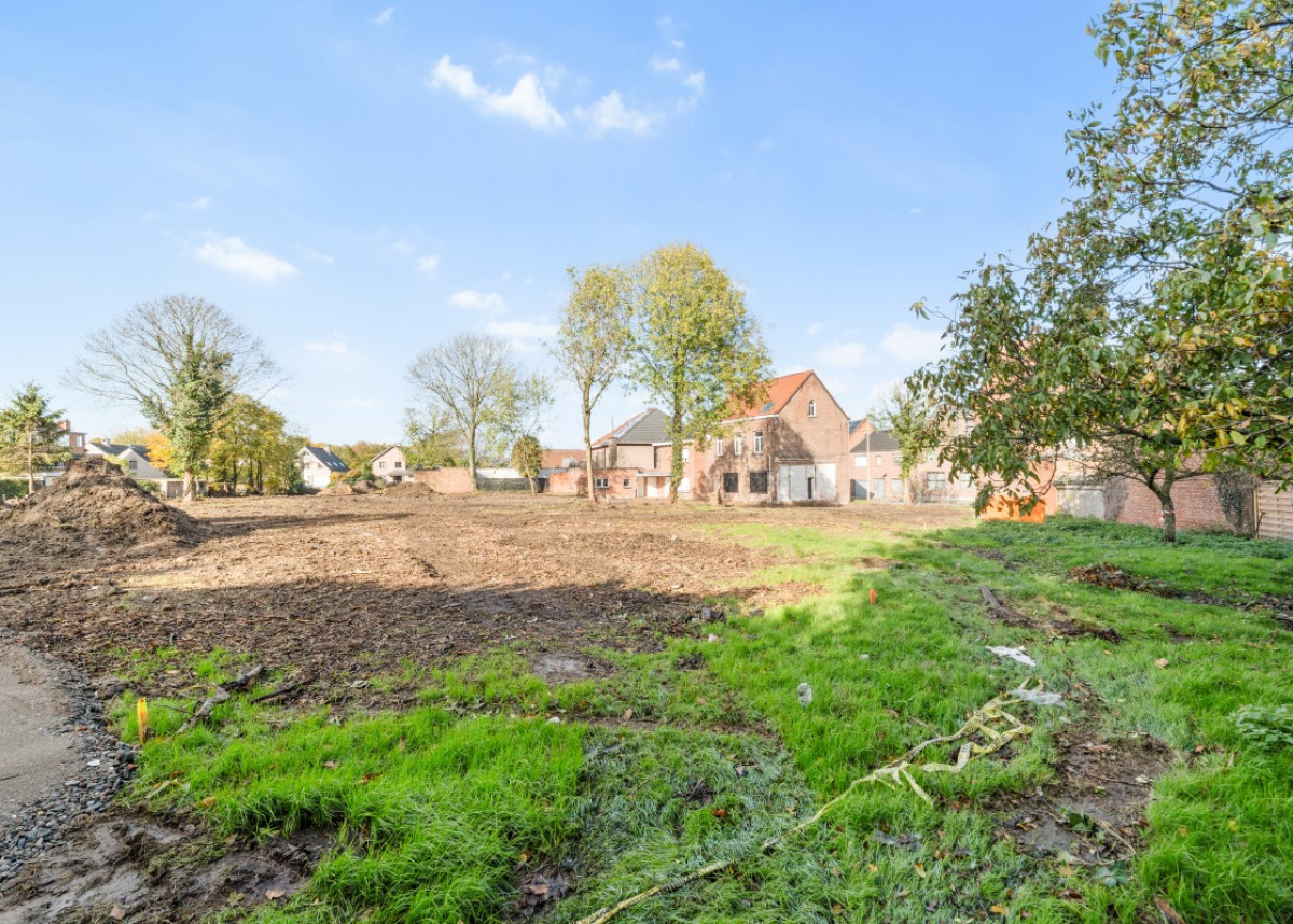 20251030 - OVH - Kattestraat 32, 9120 Beveren-Kruibeke-Zwijndrecht - 13.jpg