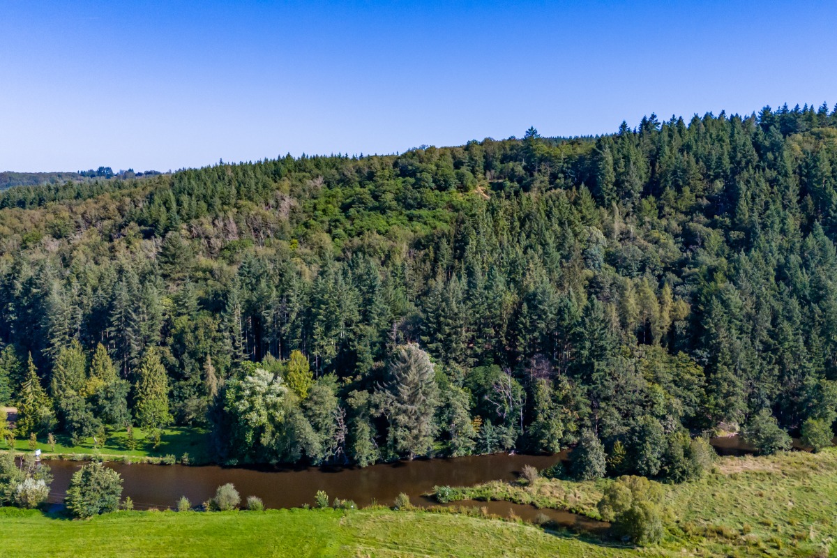 Route de la Roche - 43 - - 6987