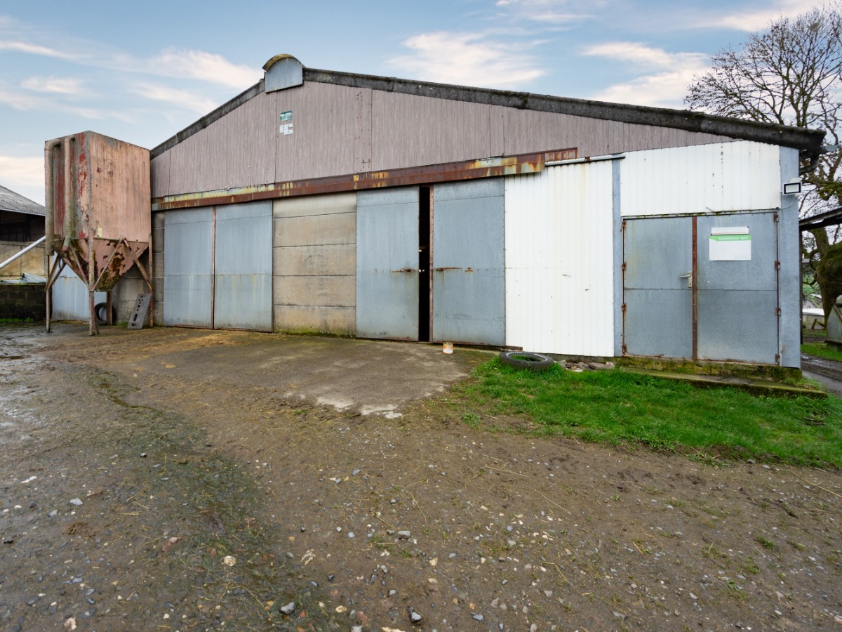 rue des blancs cailloux - 20 - - 6800