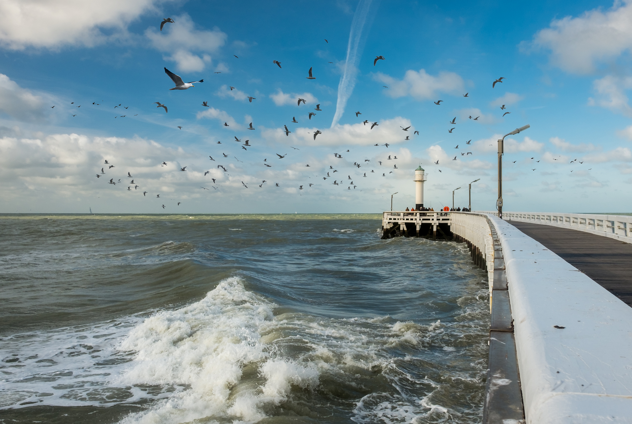 Staketsel nieuwpoort era servimo