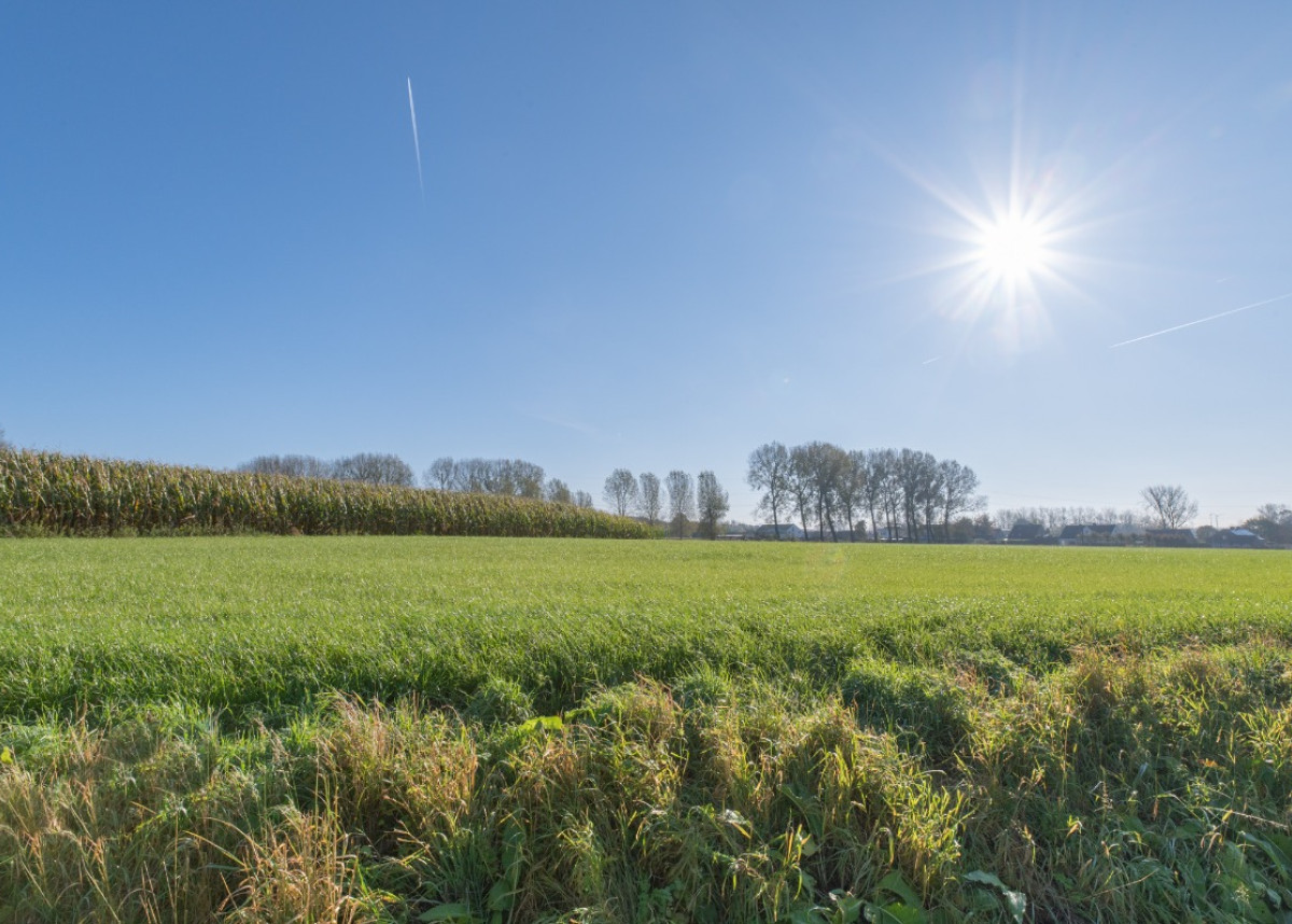 20211028-krijgsbaan temse8.jpg