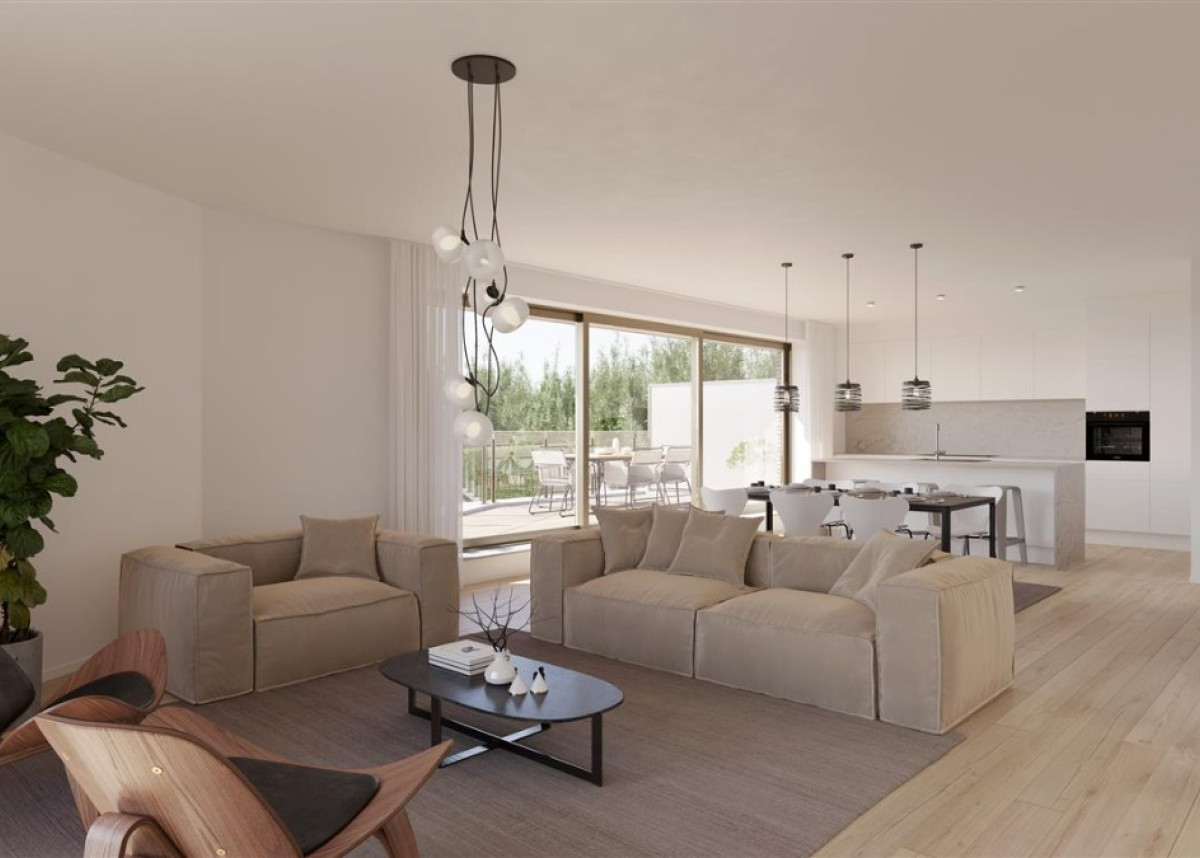 denbeiaard2 (Medium).jpg