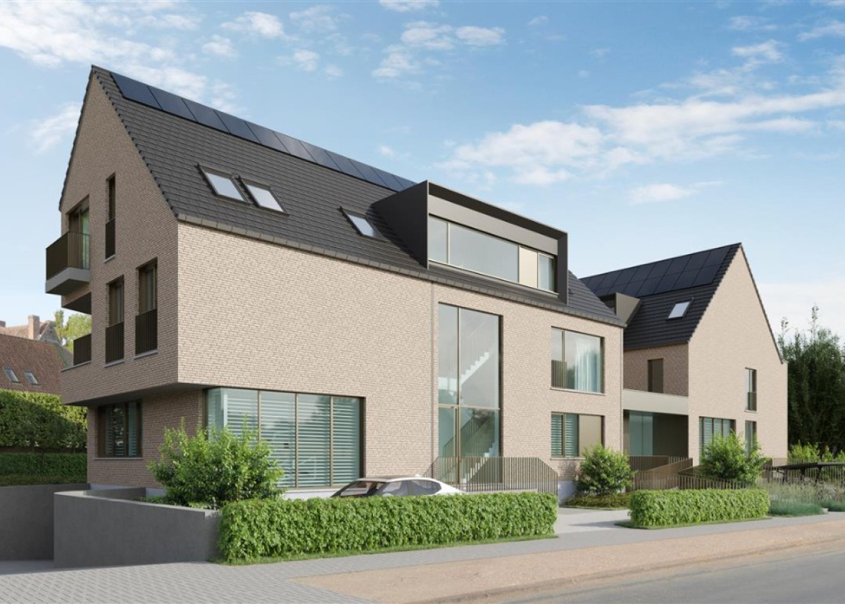 denbeiaard_1 (Medium).jpg