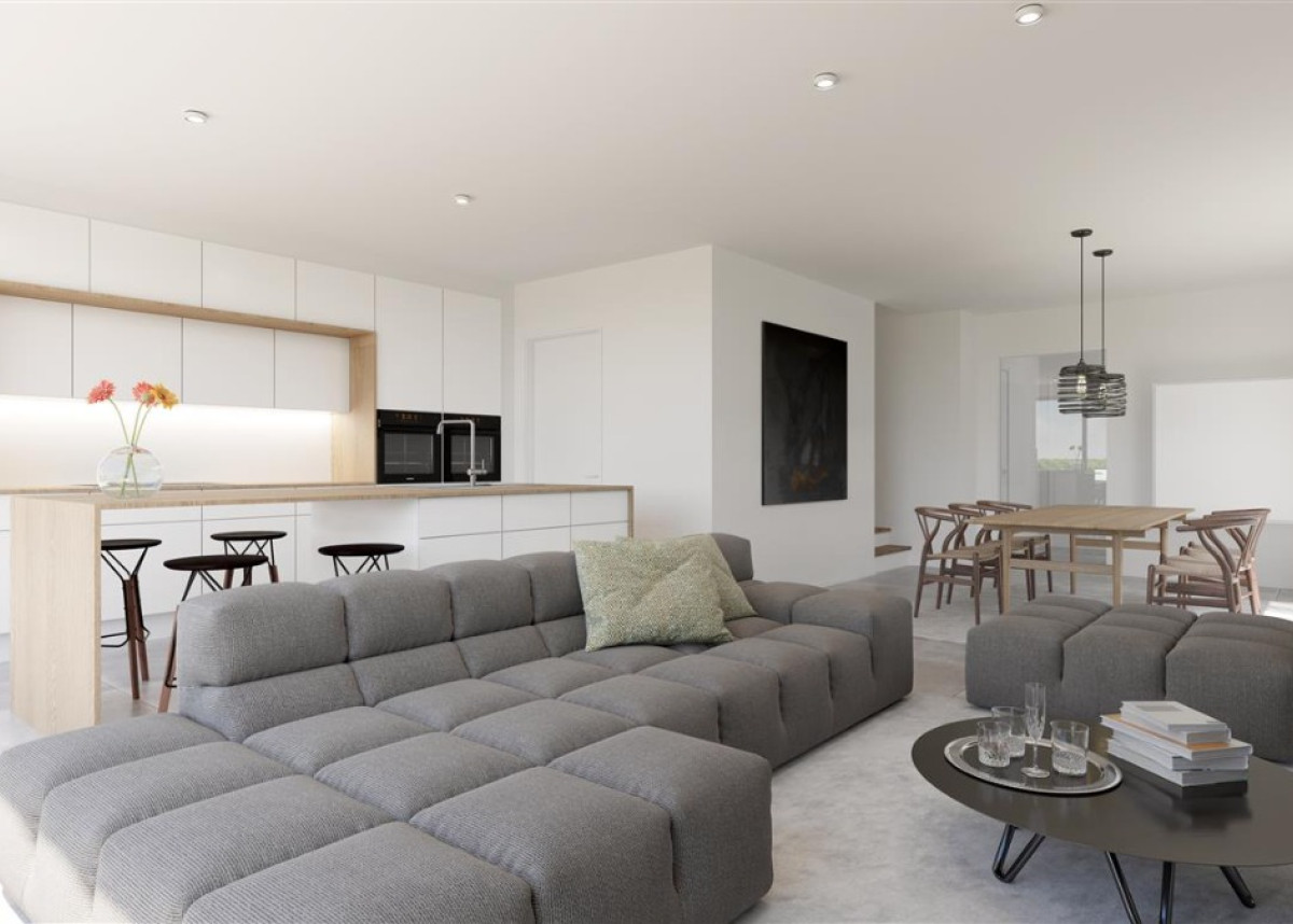 baghem_3 (Medium).jpg