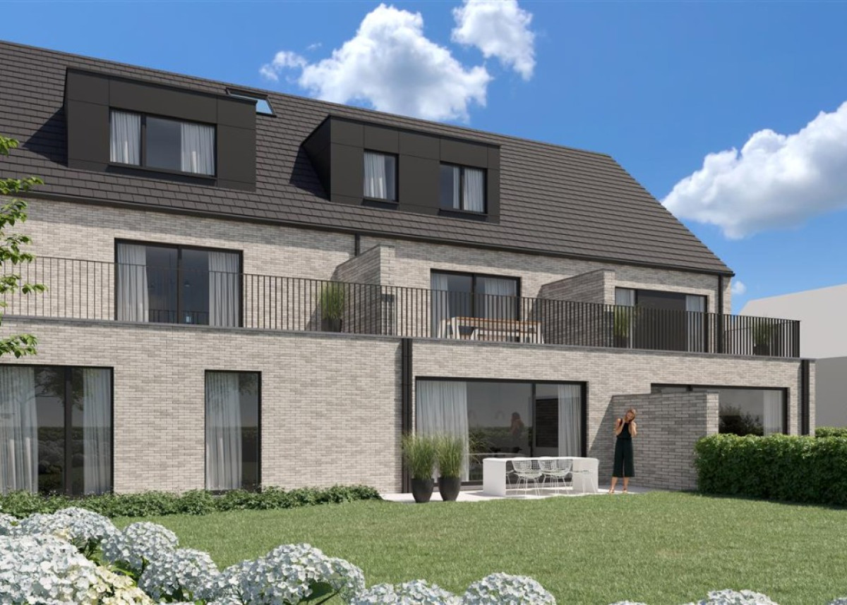 baghem_1b (Medium).jpg