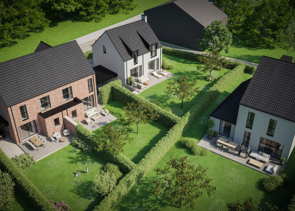 23329 Pieter Verjans Spouwen Bilzen - TRIAKSIS - Finaal beeld 005d - 8000x4400 kopie.jpeg