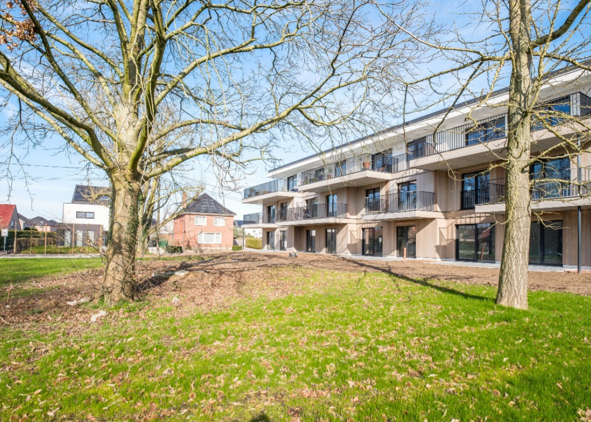 Petegemplein-5-9790-Wortegem-Petegem - 02.jpg