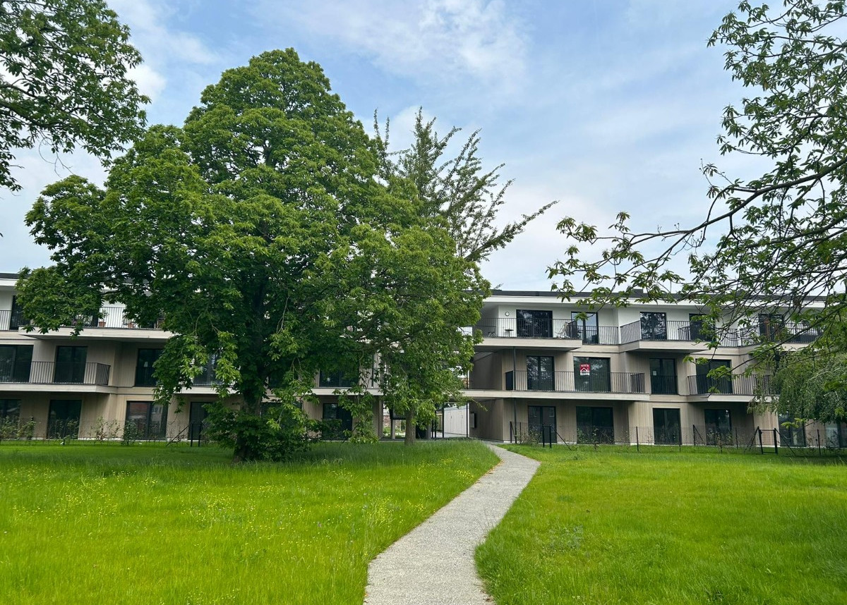 WhatsApp Image 2024-06-04 at 08.45.22 (1).jpeg