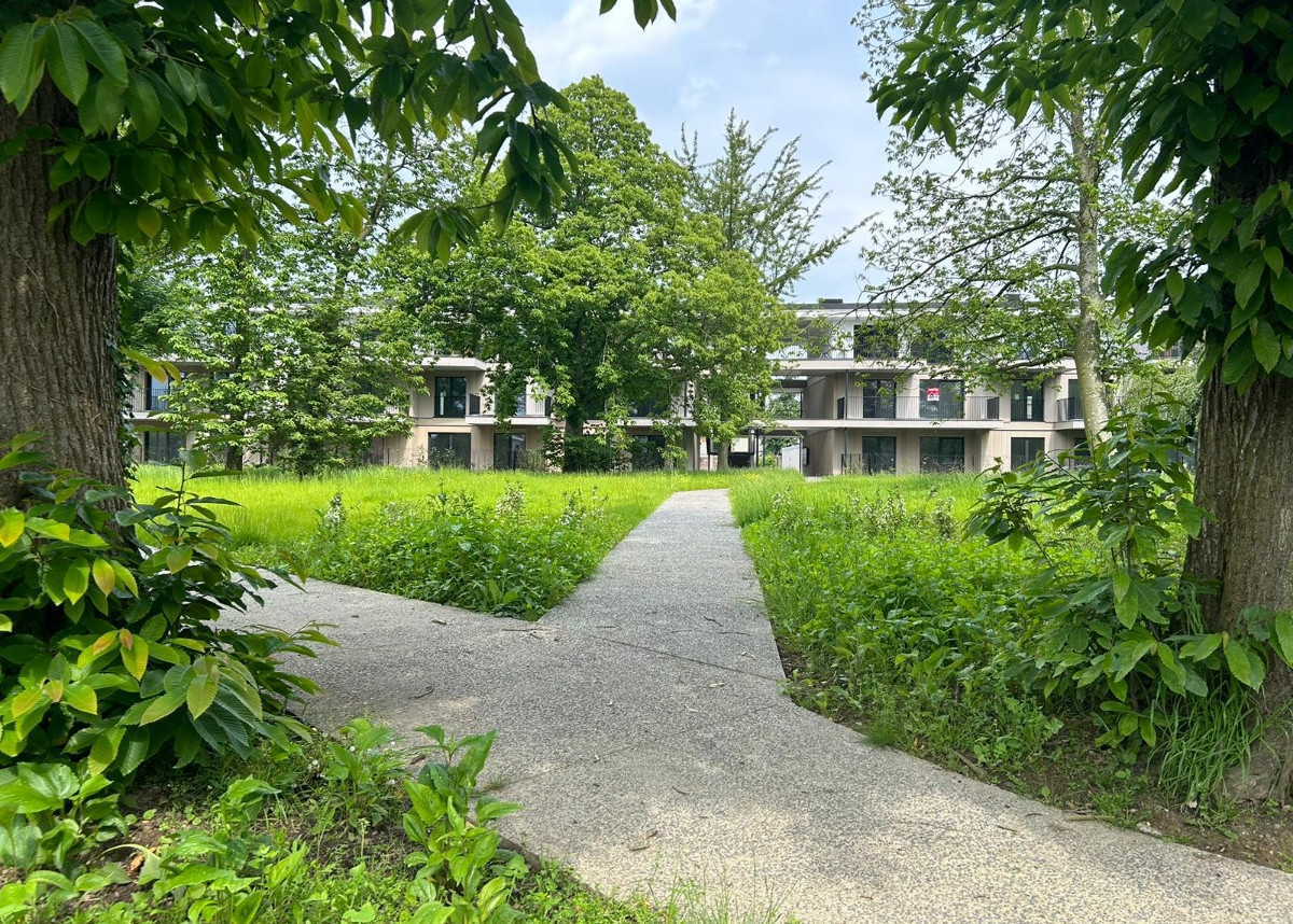 WhatsApp Image 2024-06-04 at 08.45.25.jpeg