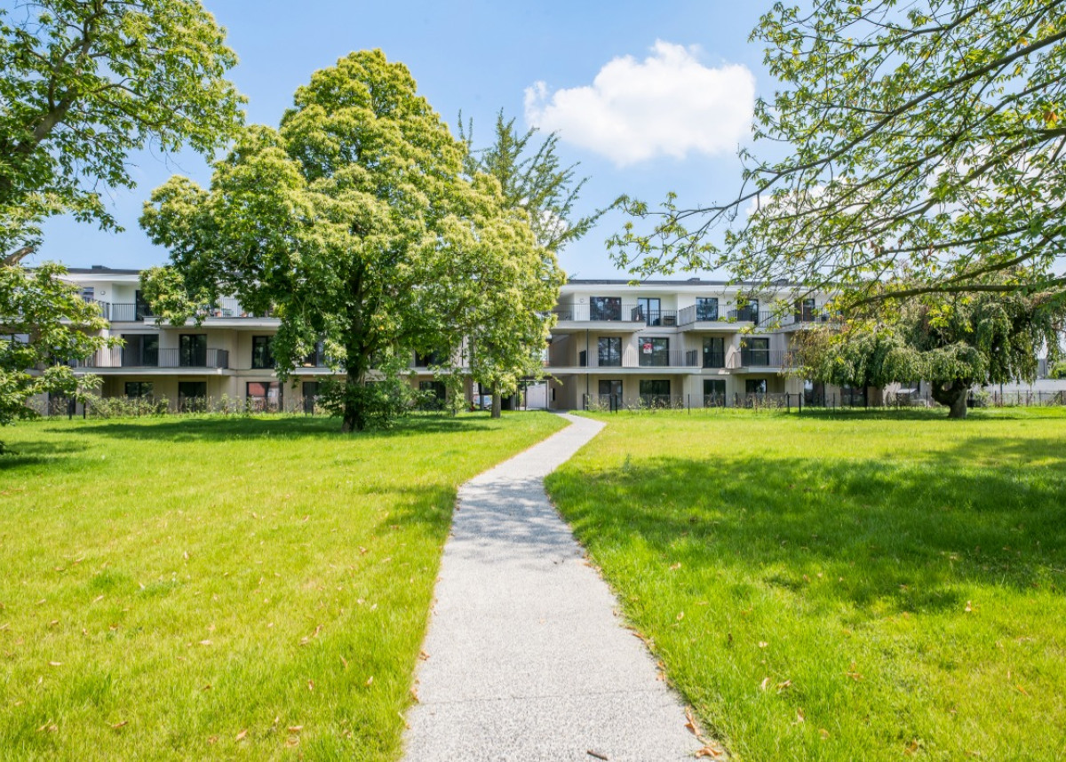 wortegem petegem - 18.jpg