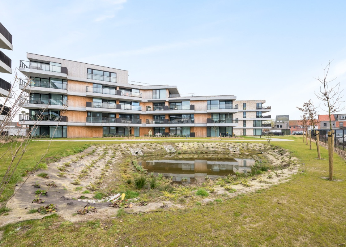 Buitenfotos-Prosper Van Raemdonckstraat-Beveren - 06.jpg