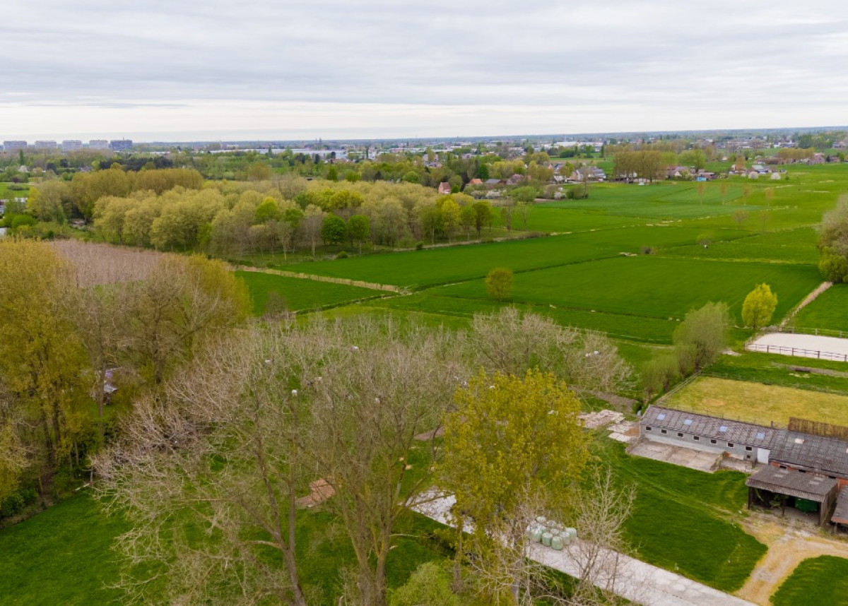 drone Klingedorp 107, 9170 Sint-Gillis-Waas-6.jpg