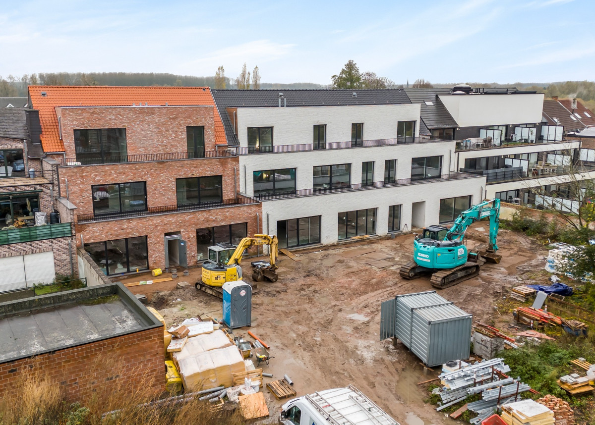 Tuin van Emile - Emile Verhaerenstraat 53, Puurs Sint-Amands - 06.jpg