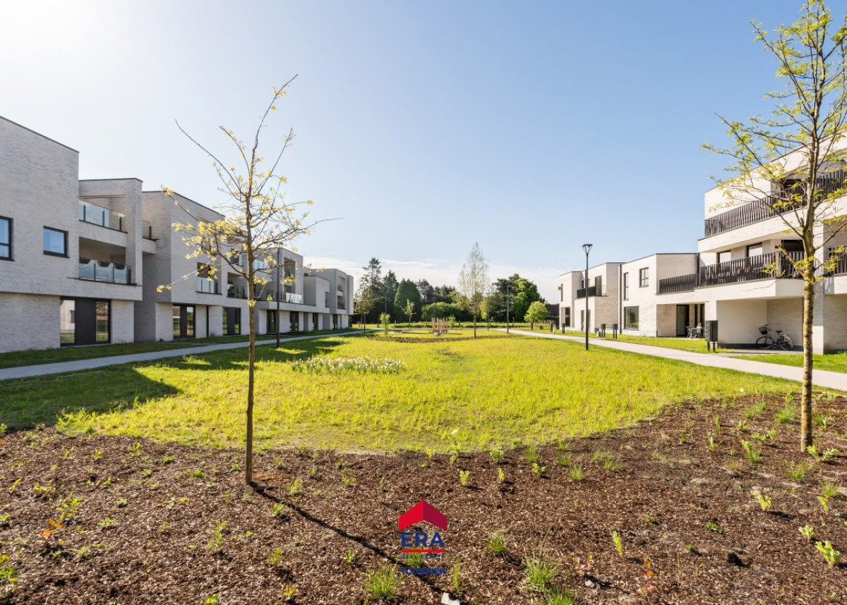 20260428 - SZ - Hezerpad 22 bus 2.28, 3920 Lommel - 24.jpg
