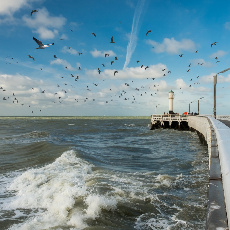 Staketsel nieuwpoort era servimo