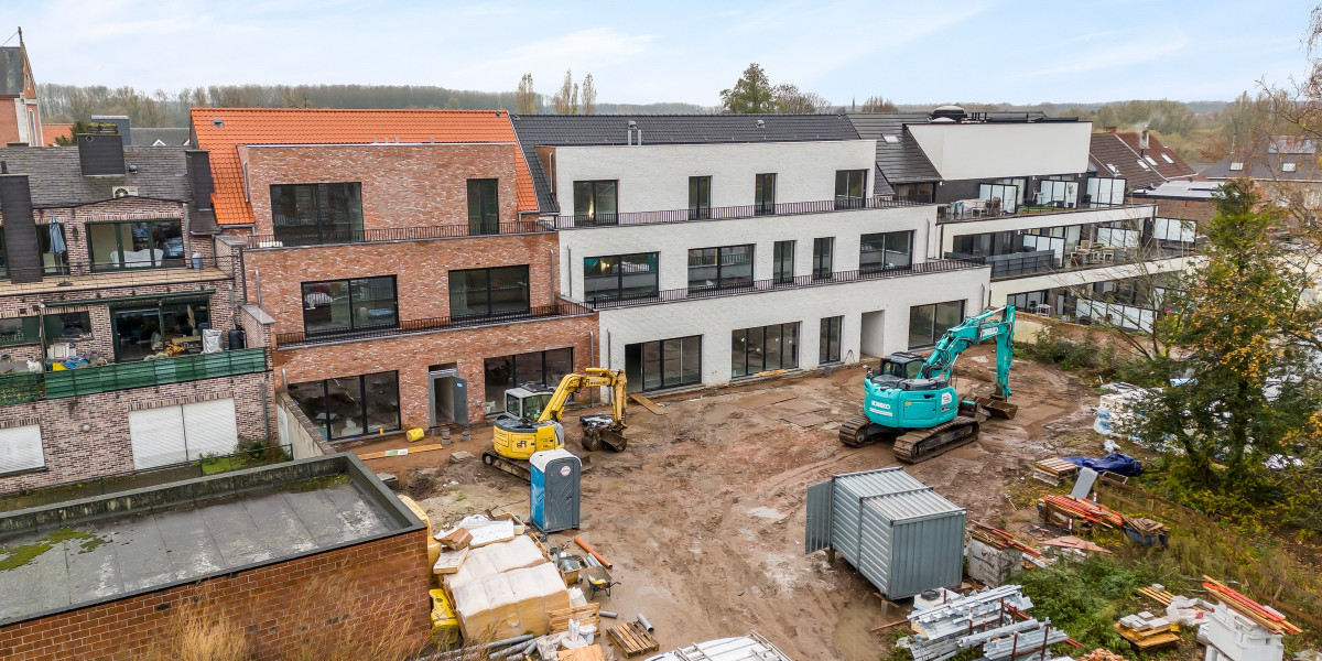 Tuin van Emile - Emile Verhaerenstraat 53, Puurs Sint-Amands - 06.jpg