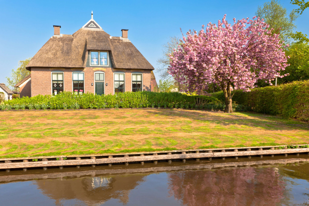 Een huis in de lente met grote tuin en een bloeiende boom.