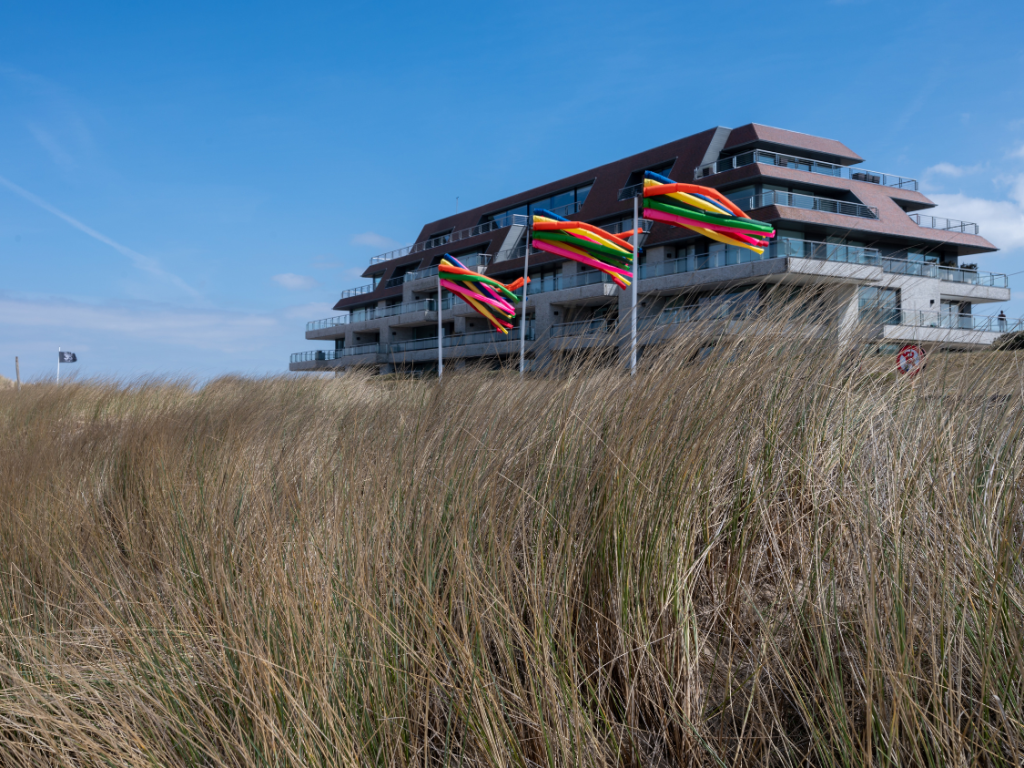 Foto van de duinen in Knokke-Heist.