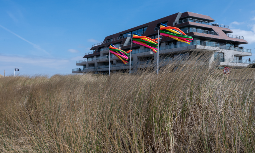 Foto van de duinen in Knokke-Heist.