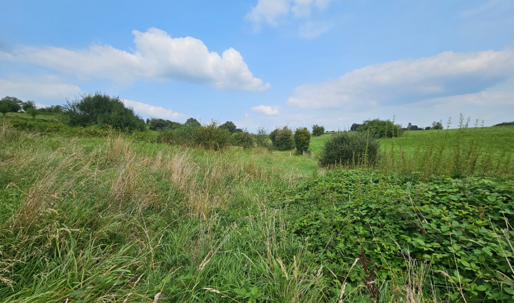 Rue de Miraguet - lot 20,23 - - 6750