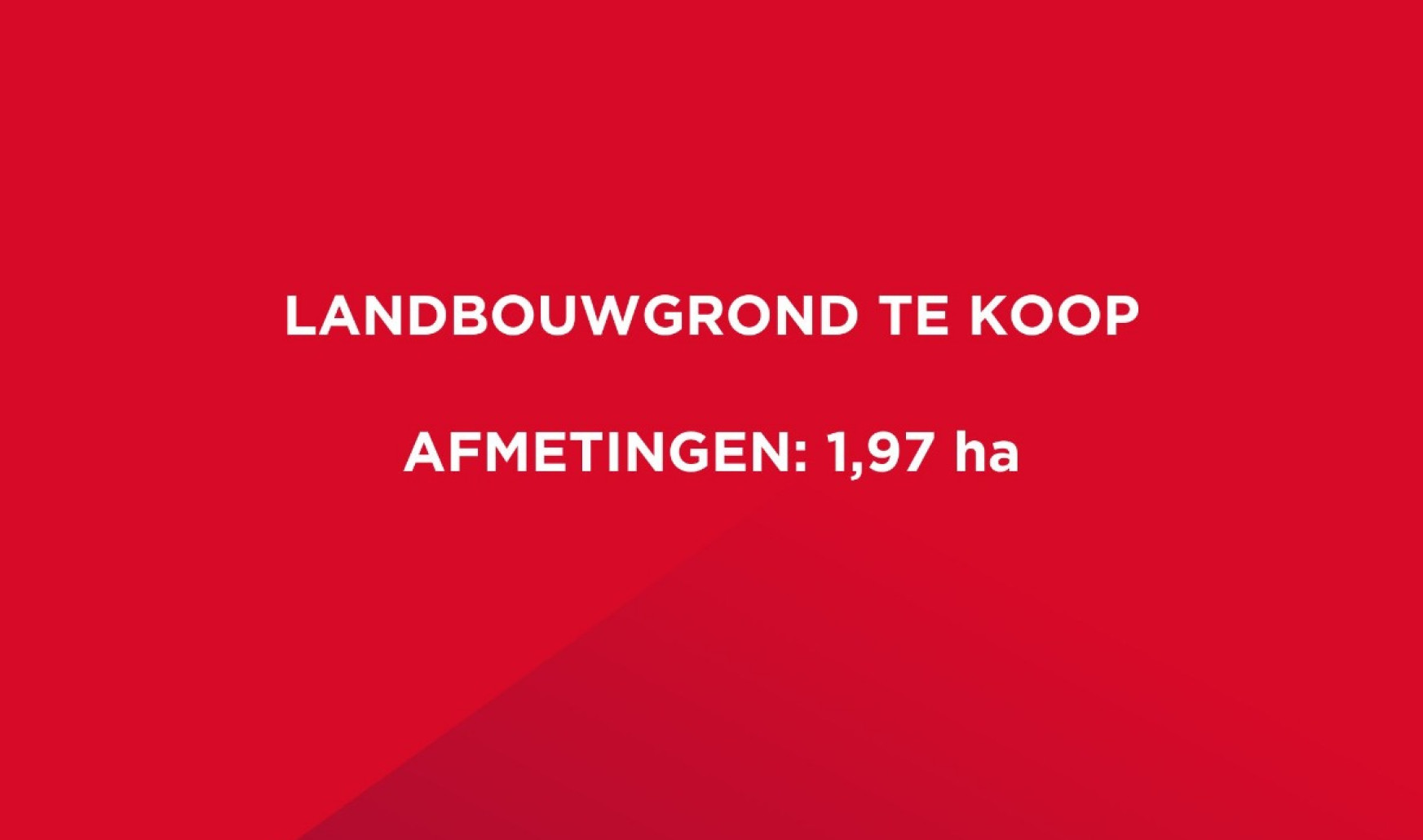 Cathilleweg - + - - 8490