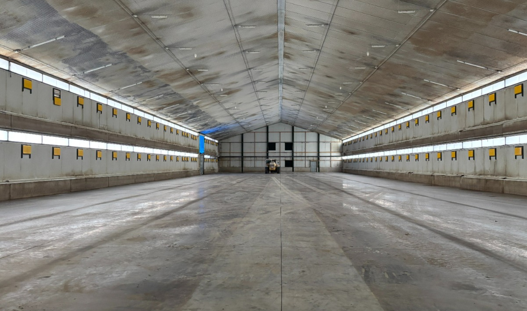 Winningweg - 23 - - 3540