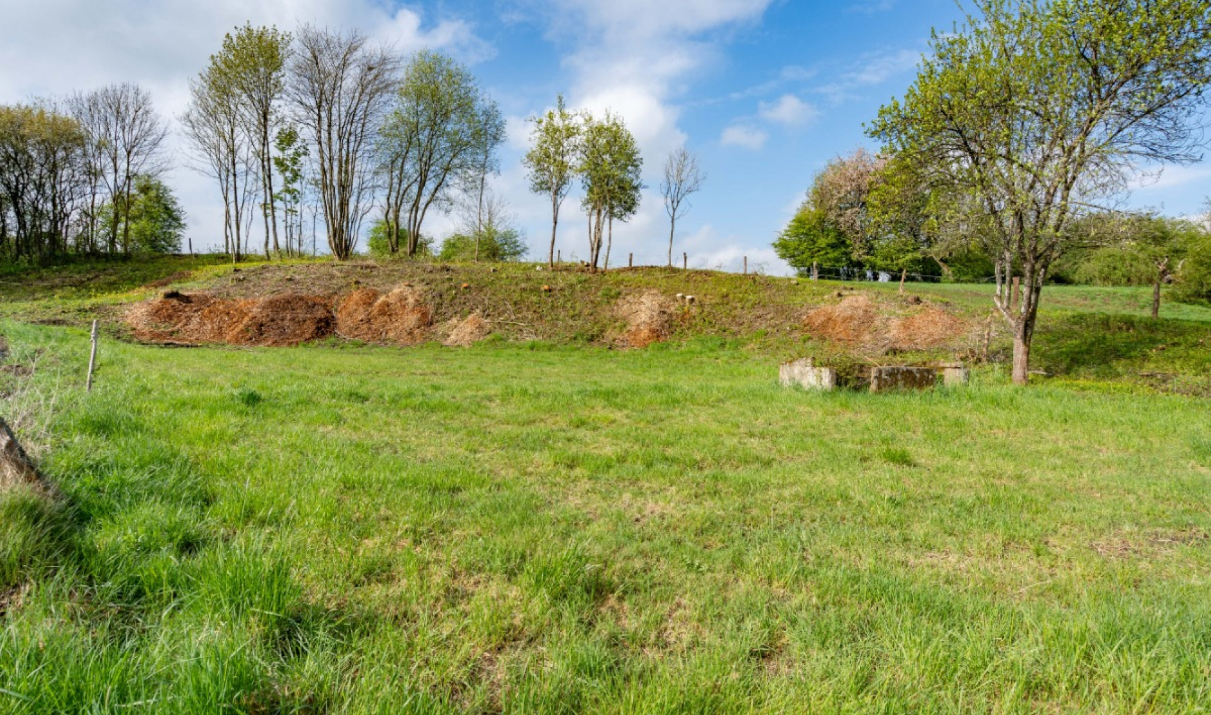 Rue de grimodé - 0 - - 6724