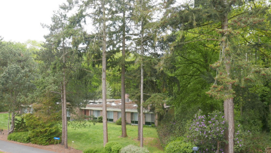 Gentse Steenweg - 124 - - 8340