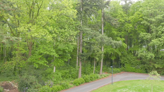 Gentse Steenweg - 124 - - 8340