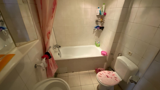 Leuvensesteenweg - 137 - - 1210