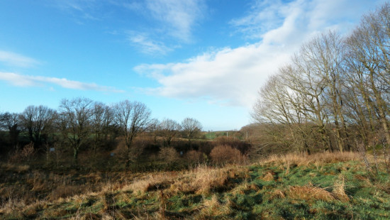 Diestsesteenweg - Papenbos - - 3390