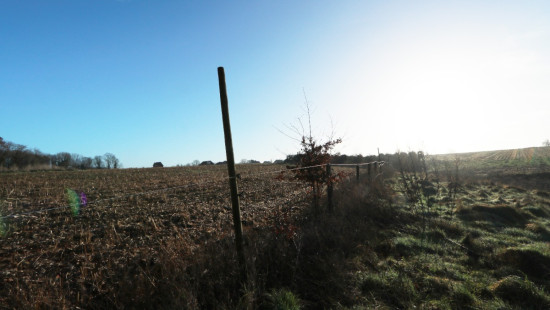 Diestsesteenweg - Papenbos - - 3390