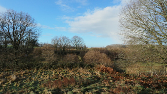 Diestsesteenweg - Papenbos - - 3390