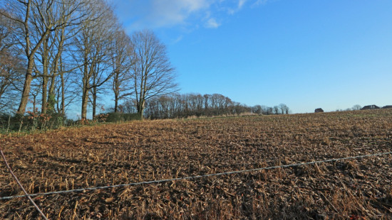 Diestsesteenweg - Papenbos - - 3390