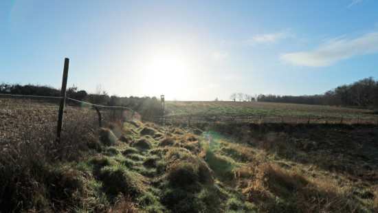 Diestsesteenweg - Papenbos - - 3390