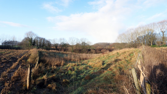 Diestsesteenweg - Papenbos - - 3390