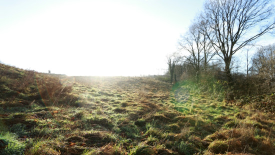 Diestsesteenweg - Papenbos - - 3390