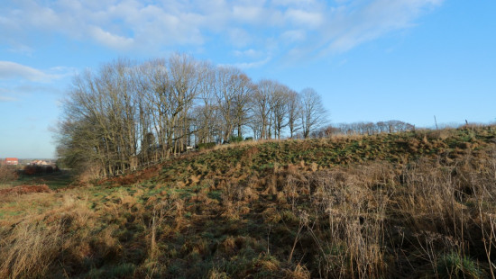 Diestsesteenweg - Papenbos - - 3390