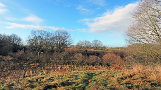 Diestsesteenweg - Papenbos - - 3390