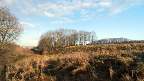 Diestsesteenweg - Papenbos - - 3390