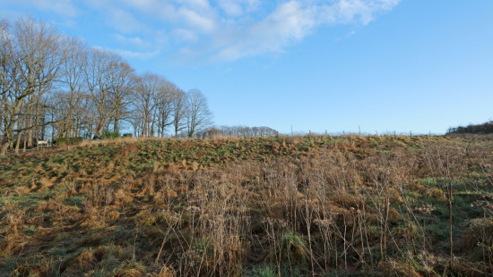 Diestsesteenweg - Papenbos - - 3390