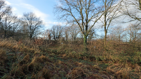 Diestsesteenweg - Papenbos - - 3390