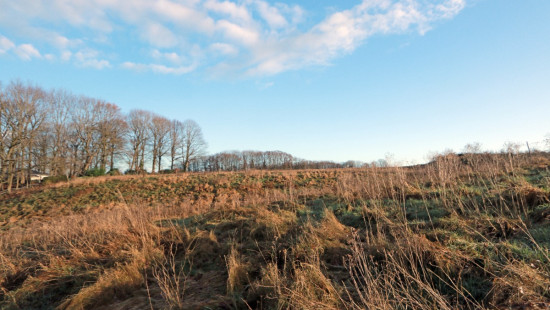 Diestsesteenweg - Papenbos - - 3390