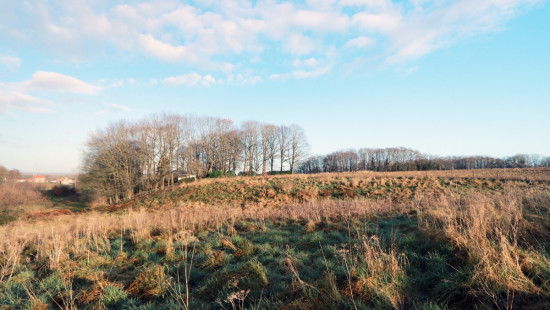 Diestsesteenweg - Papenbos - - 3390