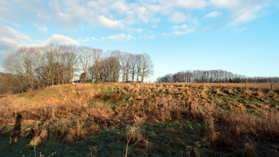 Diestsesteenweg - Papenbos - - 3390