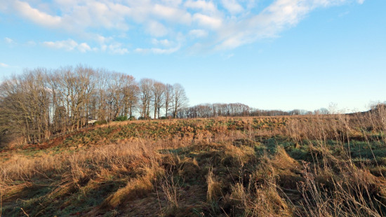 Diestsesteenweg - Papenbos - - 3390