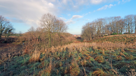 Diestsesteenweg - Papenbos - - 3390