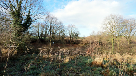 Diestsesteenweg - Papenbos - - 3390