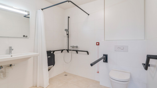 Koninginnelaan - 100 - 02.14 - 8670