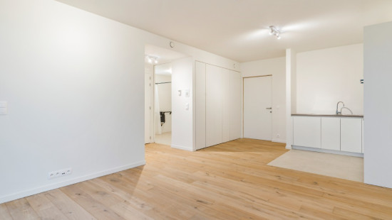 Koninginnelaan - 100 - 02.14 - 8670